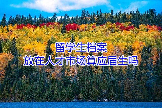 留学生档案放在人才市场算应届生吗