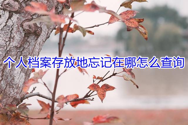个人档案存放地忘记在哪怎么查询