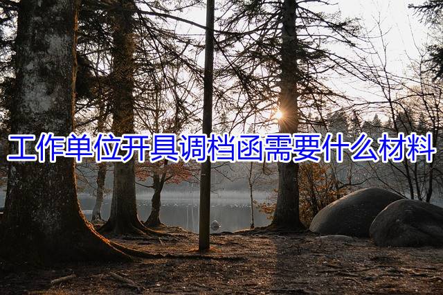 工作单位开具调档函需要什么材料