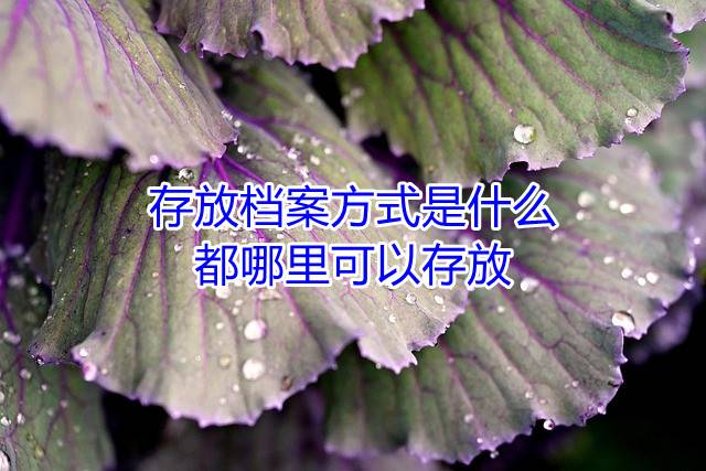 存放档案方式是什么，都哪里可以存放