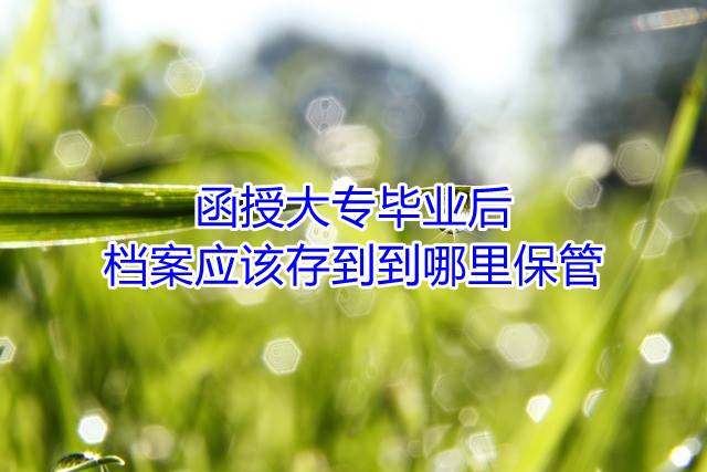 函授大专毕业后档案应该存到哪里保管