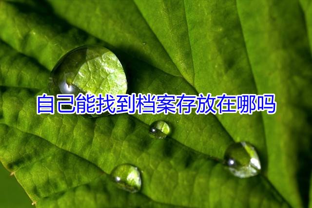 自己能找到档案存放在哪吗