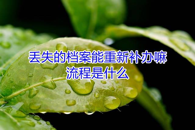 丢失的档案能重新补办嘛，流程是什么