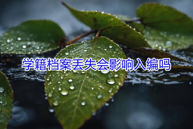 学籍档案丢失会影响入编吗