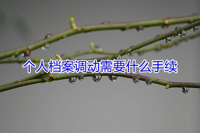 个人档案调动需要什么手续