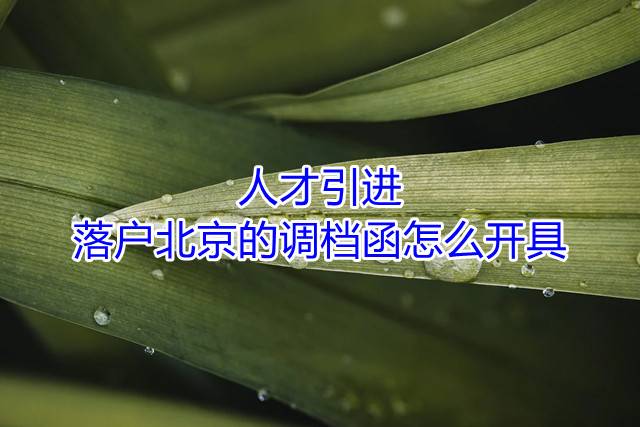 人才引进落户北京的调档函怎么开具
