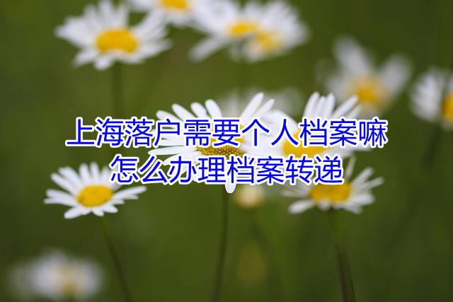 上海落户需要个人档案嘛，怎么办理档案转递