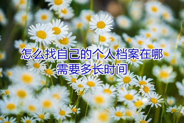 怎么找自己的个人档案在哪，需要多长时间