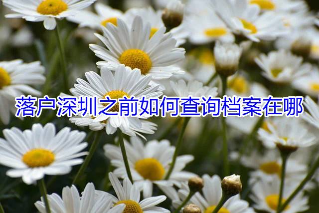 落户深圳之前如何查询档案在哪