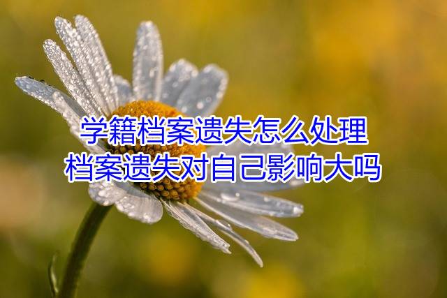 学籍档案遗失怎么处理，档案遗失对自己影响大吗