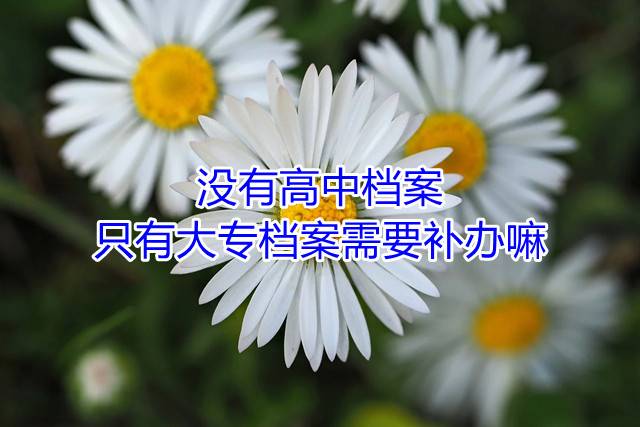 没有高中档案只有大专档案需要补办嘛