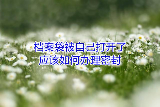 档案袋被自己打开了应该如何办理密封