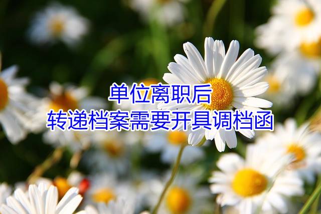 单位离职后转递档案需要开具调档函