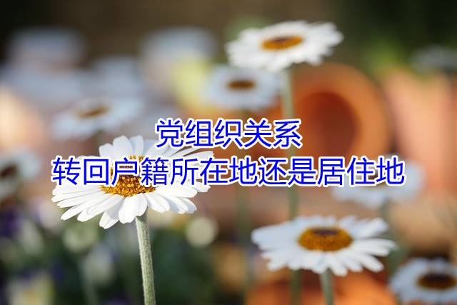 党组织关系转回户籍所在地还是居住地