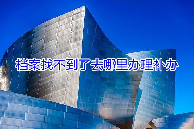 档案找不到了去哪里办理补办