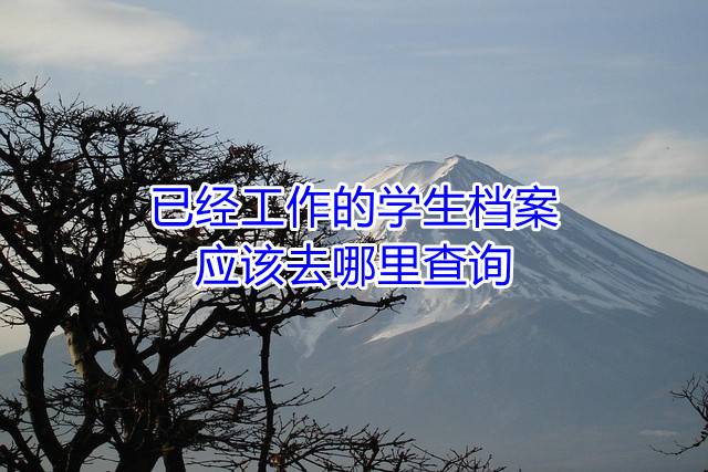已经工作的学生档案应该去哪里查询