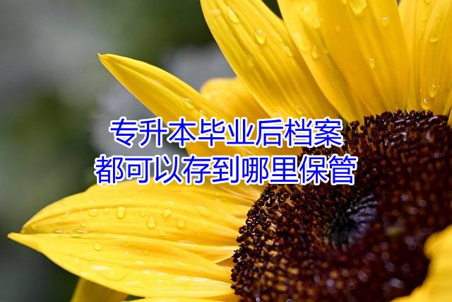 专升本毕业后档案都可以存到哪里保管