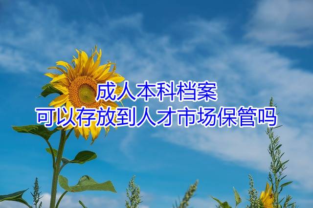 成人本科档案可以存放到人才市场保管吗