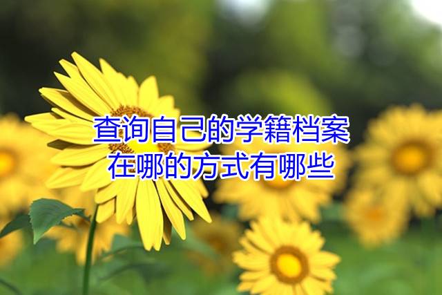 查询自己的学籍档案在哪的方式有哪些
