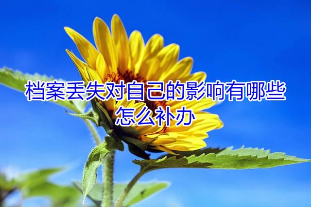 档案丢失对自己的影响有哪些，怎么补办