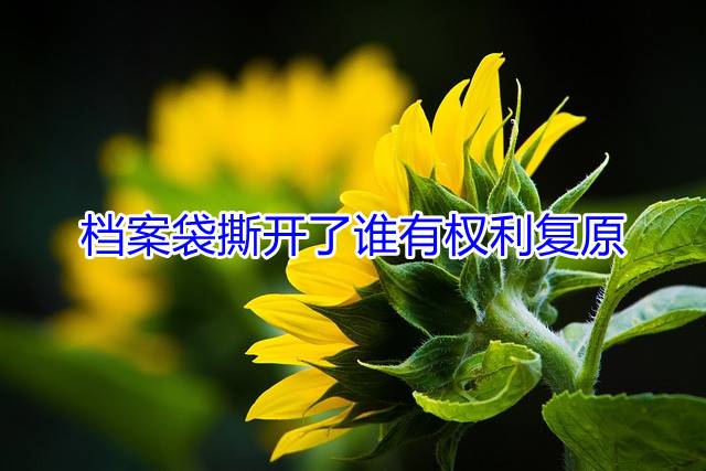 档案袋撕开了谁有权利复原