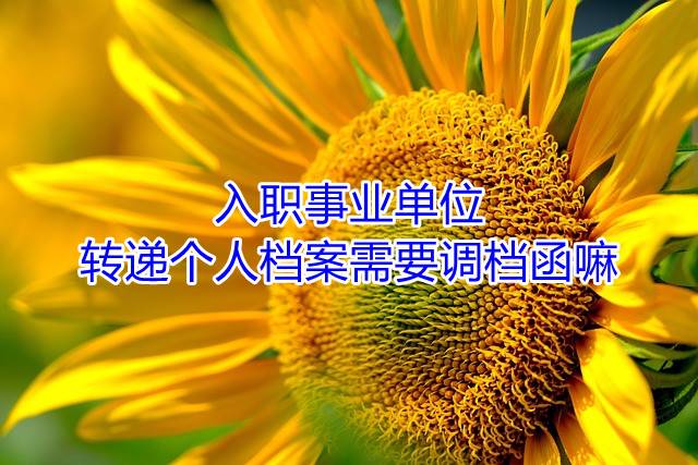 入职事业单位转递个人档案需要调档函嘛
