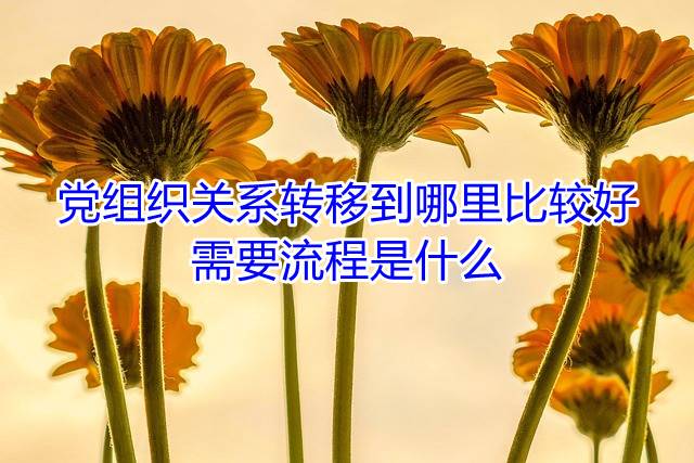 党组织关系转移到哪里比较好，需要流程是什么