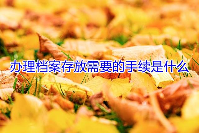 办理档案存放需要的手续是什么