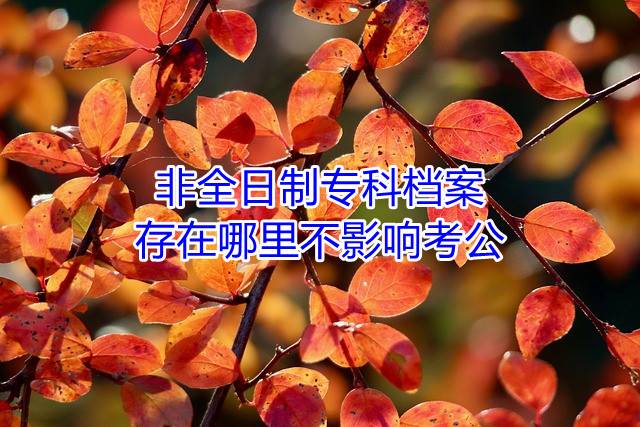 非全日制专科档案存在哪里不影响考公