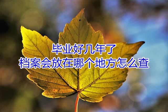 毕业好几年了档案会放在哪个地方怎么查