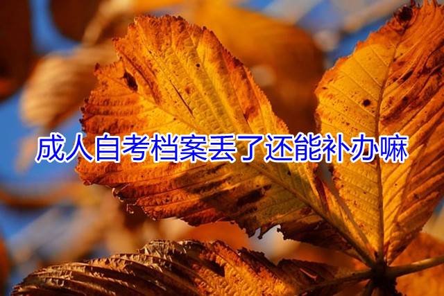 成人自考档案丢了还能补办嘛