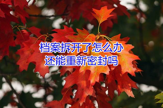 档案拆开了怎么办，还能重新密封吗