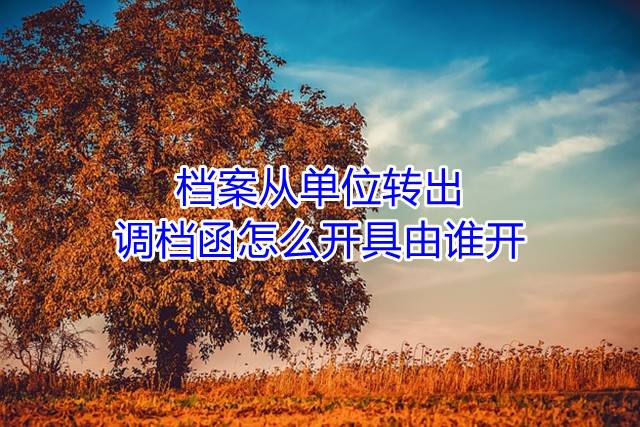 档案从单位转出，调档函怎么开具由谁开