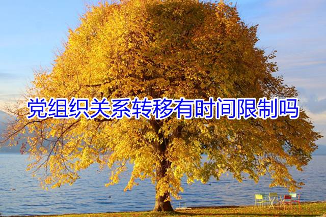 党组织关系转移有时间限制吗