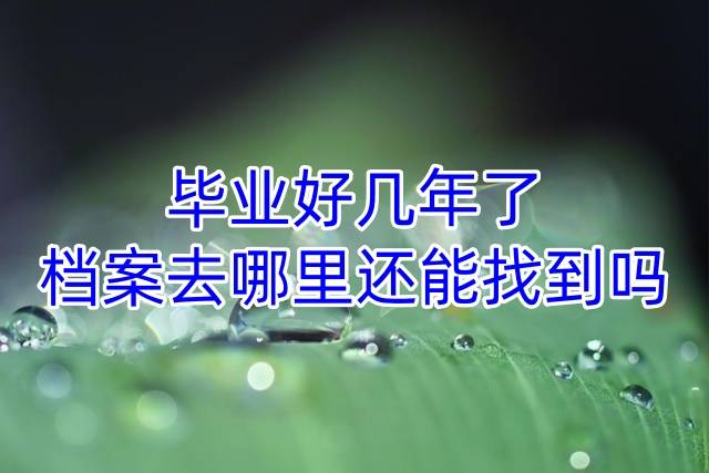 毕业好几年了，档案去哪里还能找到吗毕业好几年了，档案去哪里还能找到吗