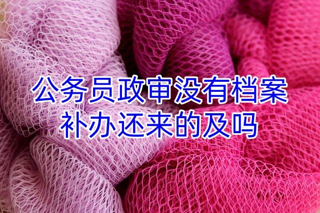 公务员政审没有档案，补办还来的及吗