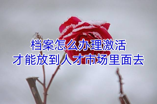 档案怎么办理激活才能放到人才市场里面去