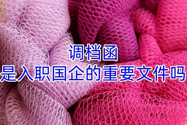 调档函是入职国企的重要文件吗