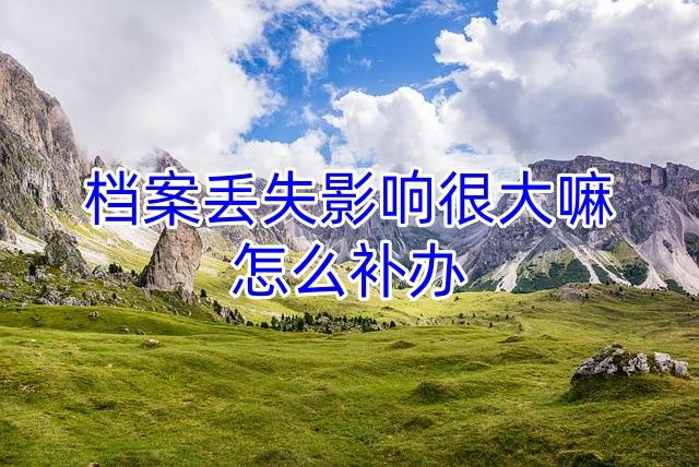 档案丢失影响很大嘛，怎么补办