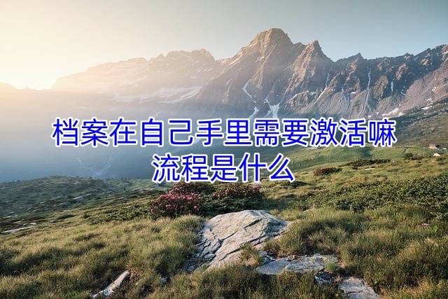 档案在自己手里需要激活嘛，流程是什么