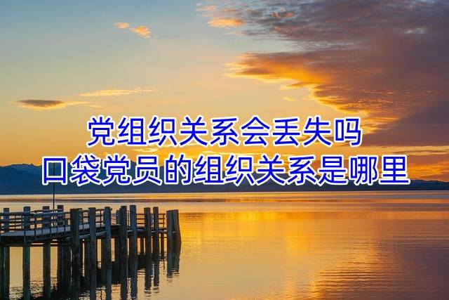 党组织关系会丢失吗，口袋党员的组织关系是哪里