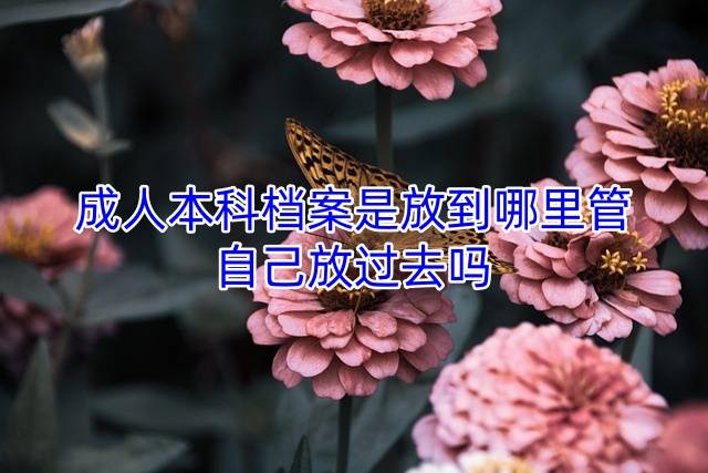 成人本科档案是放到哪里管，自己放过去吗