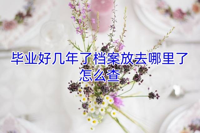 毕业好几年了档案放去哪里了怎么查
