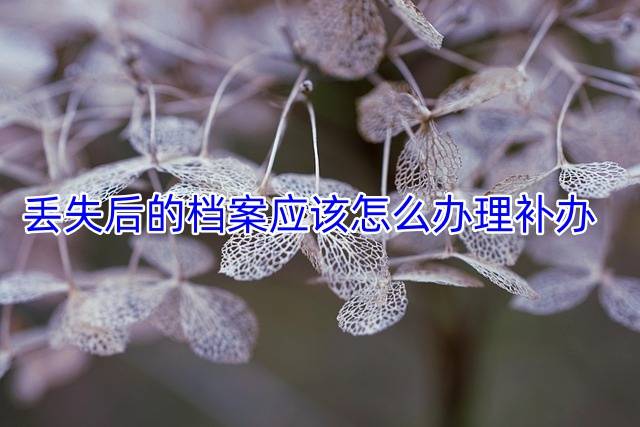 丢失后的档案应该怎么办理补办