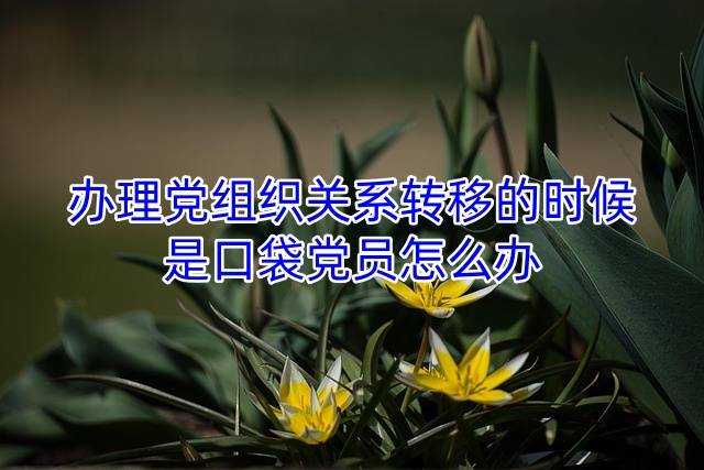 办理党组织关系转移的时候是口袋党员怎么办