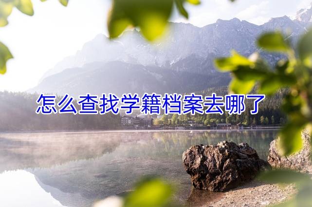 怎么查找学籍档案去哪了