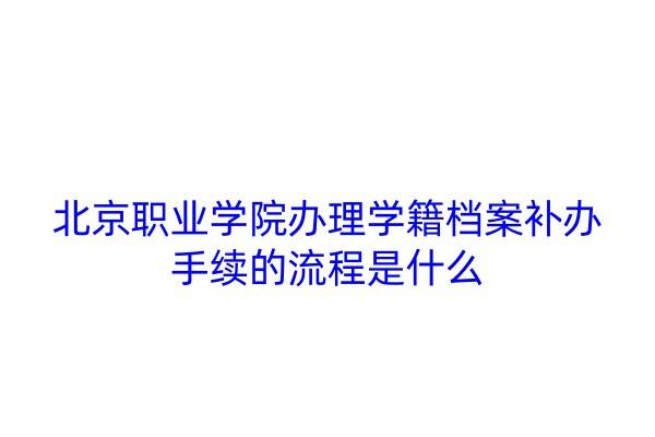 北京职业学院办理学籍档案补办手续的流程是什么