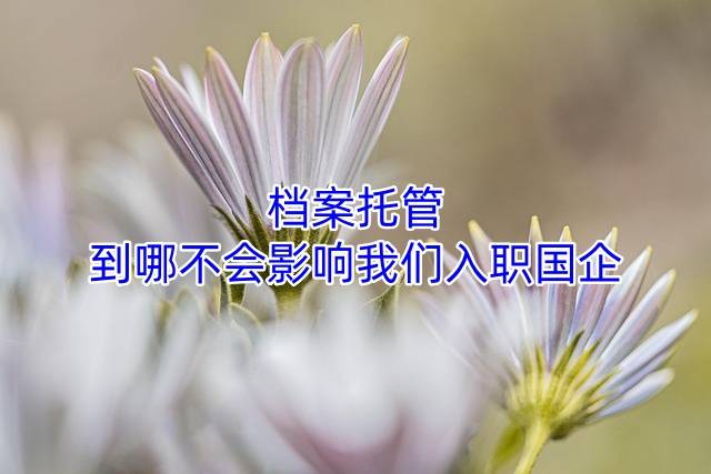 档案托管到哪不会影响我们入职国企