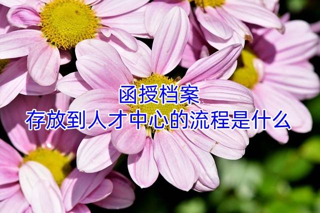 函授档案存放到人才中心的流程是什么