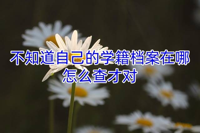 不知道自己的学籍档案在哪，怎么查才对
